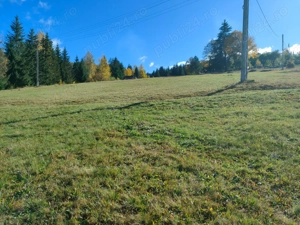  Teren de vânzare Plaiu Șarului, Saru Dornei - imagine 3