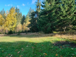  Teren de vânzare Plaiu Șarului, Saru Dornei - imagine 2