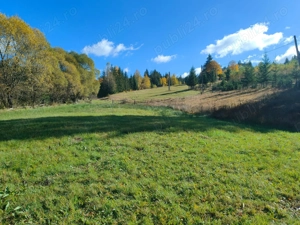  Teren de vânzare Plaiu Șarului, Saru Dornei - imagine 4