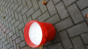 Vând vaca de lapte(bălțat românească)