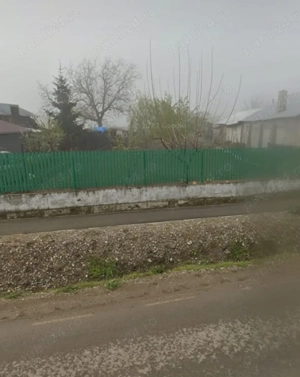 Teren Domnesti Ilfov  - imagine 2