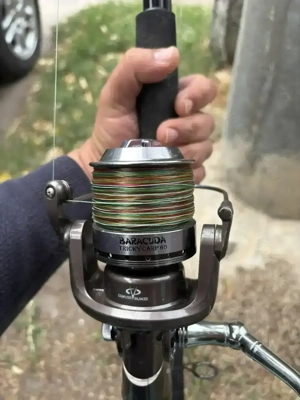 Mulinete Baracuda si Caperlan