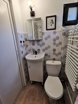 Cabana de inchiriat - imagine 5