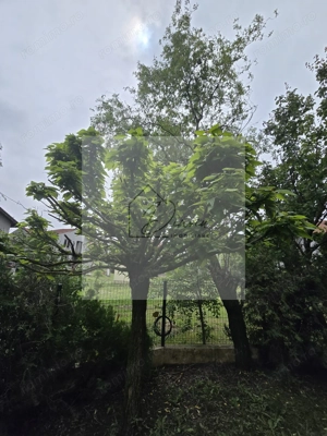 Vila 5 camere LUX Voluntari - Cartier Henri Coanda