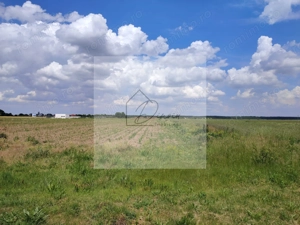 Teren intravilan Ciocanesti Cretu - 9282 mp divizat in 15 loturi