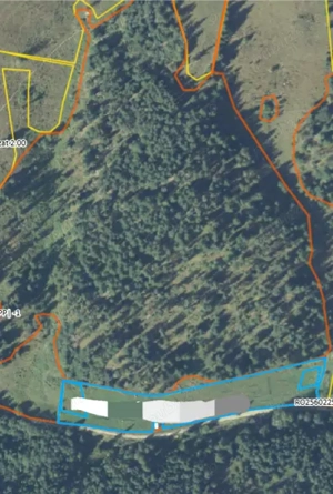 Vând teren cu padure