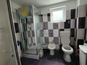 Casa Ciocanesti Cretu - 2 camere cu teren 2539 mp  - Jud. Dambovita - imagine 14