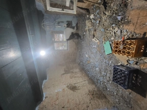 Firma de curatenie si amenajare exterioara  - imagine 4