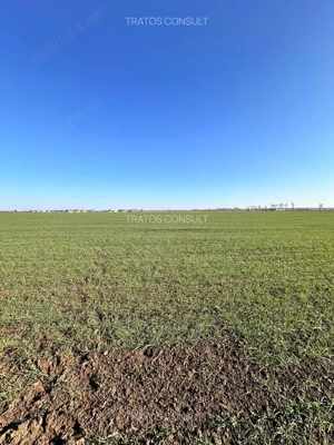 Teren investitie Buftea