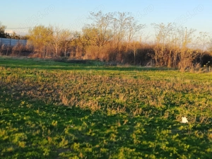 Vând teren intravilan - imagine 4