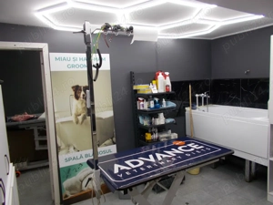 Casa cu spatiu comercial, Giarmata, 128mp util, teren 1670mp, mobilata si utilata, com=0% - imagine 14