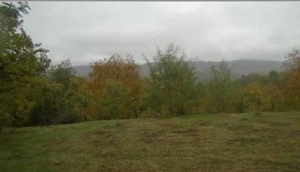 Teren faneata Vizantea Livezi;  ID: R2800475