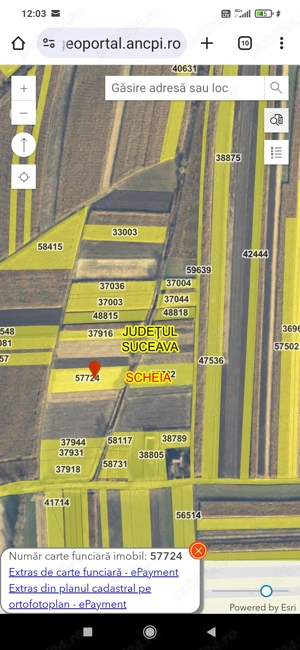 Teren de vânzare în Șcheia 