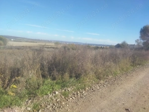 Teren de vânzare în Șcheia  - imagine 2