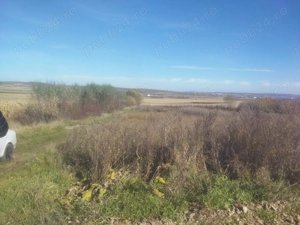 Teren de vânzare în Șcheia  - imagine 3