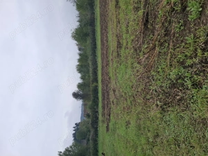 Vand gradina  - imagine 2