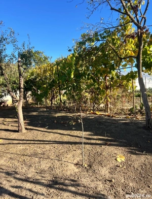 Casa de vanzare comuna Parta judetul Timis - imagine 2