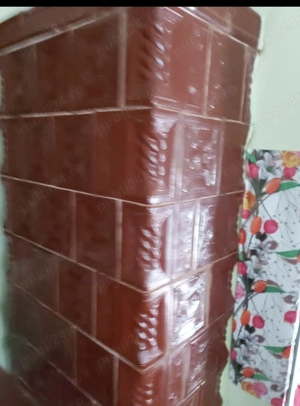 Casa de vânzare cu pădure de salcâmi maturi intravilană - imagine 3