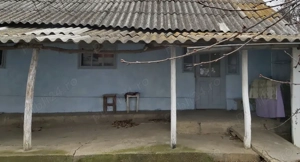 Casa de vânzare cu pădure de salcâmi maturi intravilană - imagine 6