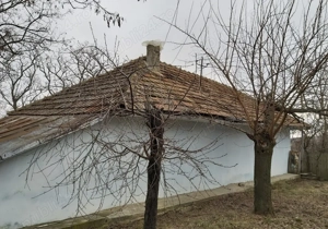 Casa de vânzare cu pădure de salcâmi maturi intravilană - imagine 5