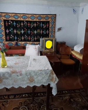 Casa de vânzare cu pădure de salcâmi maturi intravilană - imagine 4