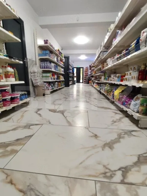 Cladire mixta, magazin, bar, spatiu birouri, Letcani - imagine 16