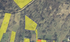 Teren faneata Vizantea Livezi , ID: R2800612 - imagine 4