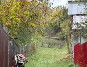 Teren faneata Vizantea Livezi , ID: R2800612 - imagine 5