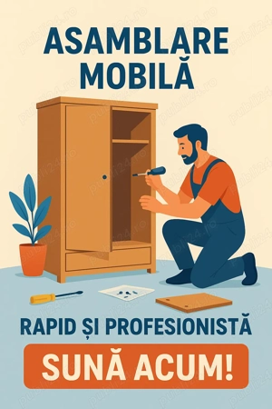 Asamblare Mobilier