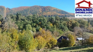 3600 mp teren intravilan, sat Bistrita, 19 Euro mp