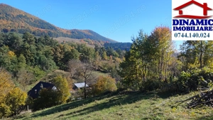 3600 mp teren intravilan, sat Bistrita, 16 Euro mp - imagine 2