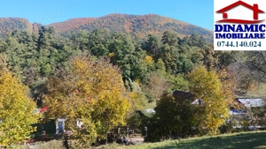 3600 mp teren intravilan, sat Bistrita, 16 Euro mp - imagine 5