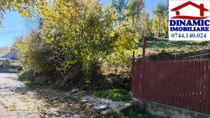 3600 mp teren intravilan, sat Bistrita, 16 Euro mp - imagine 6