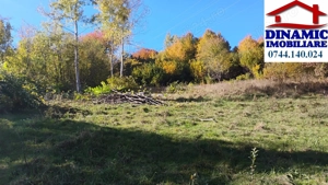 3600 mp teren intravilan, sat Bistrita, 16 Euro mp - imagine 7