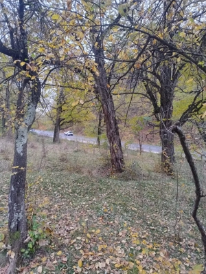 Teren de vânzare  - imagine 2