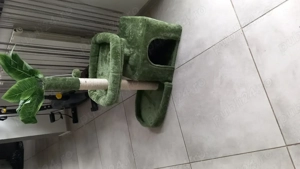 Ansamblu  joaca pentru pisici