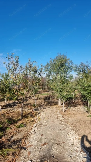 Casa-VILA deosebita ,mobilata plus toate facilitatile - imagine 18