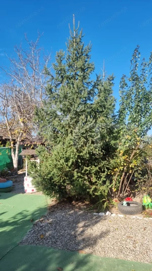 Casa-VILA deosebita ,mobilata plus toate facilitatile - imagine 20