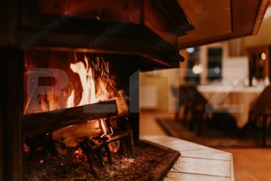 Afacere la cheie! Vila clasificata, 5 camere, 300 mp, teren 1600 mp - imagine 14