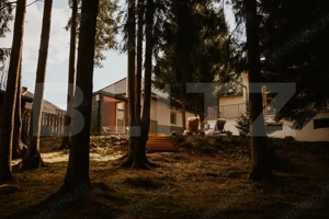 Afacere la cheie! Vila clasificata, 5 camere, 300 mp, teren 1600 mp - imagine 4