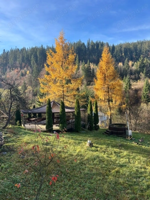 Casă modernă cu teren generos   direct de la proprietar - imagine 10