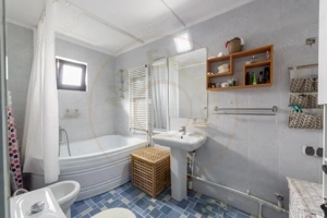 Casa P+M cu teren 2788 mp COCU -RACHITELE ARGES - imagine 7