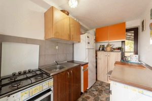 Casa P+M cu teren 2788 mp COCU -RACHITELE ARGES - imagine 11