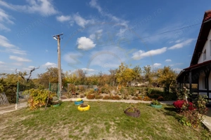 Casa P+M cu teren 2788 mp COCU -RACHITELE ARGES - imagine 13