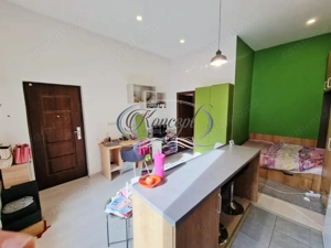 Investitie ideala: casa cu 2 unitati locative si curte, str. Horea - imagine 8