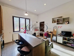 Investitie ideala: casa cu 2 unitati locative si curte, str. Horea - imagine 7