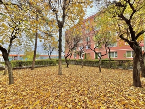 Apartament Decomandat cu 3 Camere 2 Bai in Noua Pet Friendly - imagine 14