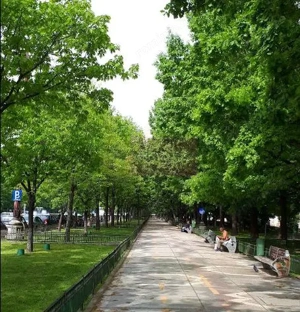 Vanzare apartament de 4 camere in zona bd Unirii-Casa Poporului