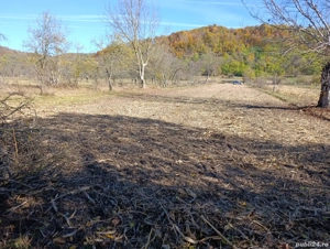 teren de vanzare langa domnesti arges - imagine 2