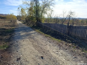 teren de vanzare langa domnesti arges - imagine 3